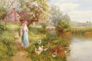 Primavera